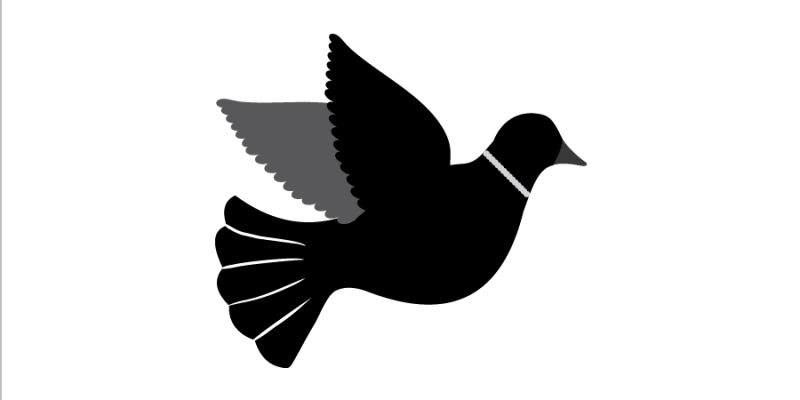 Black dove holds twig symbol of peace – Free Vector