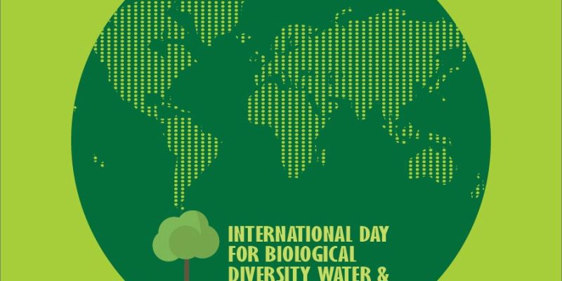 International Day for Biological Diversity Background Illustration – free vector