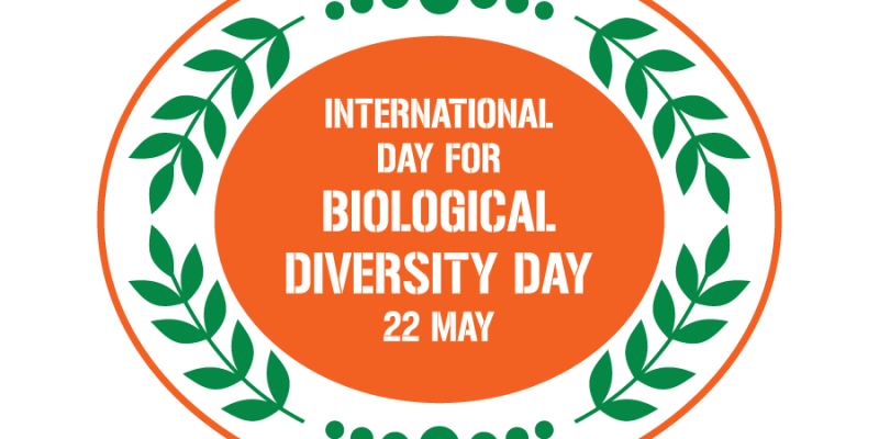 International Day for Biological Diversity logo icon – free vector