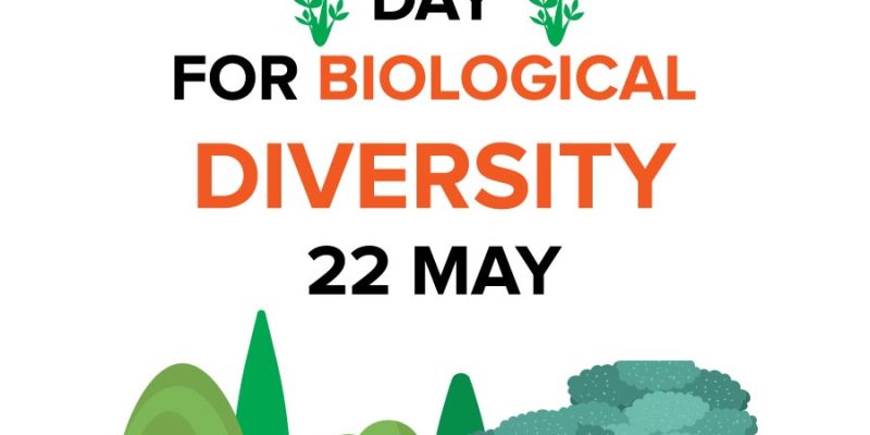 International Day for Biological Diversity, 22 May image – free vector