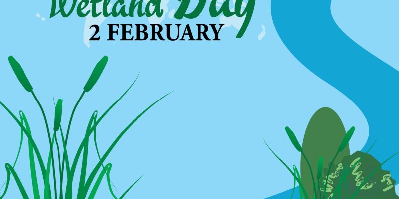 Vector illustration of World Wetlands Day theme. Postcard or banner with a map and the branches of reeds. The date of the event is 2 February – free vector