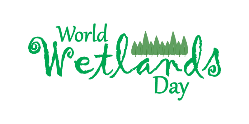 World wetlands day vector with text green color symbol – free vector