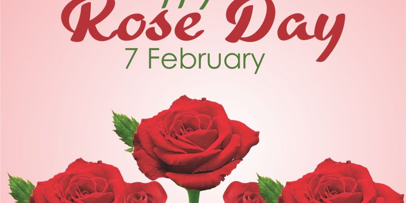 Rose background on the theme of Happy Rose Day picture – free photo