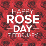 Happy Rose Day 7th February | Stock Photos, Graphics, Vectors, Illustrations, Background, Icons, Symbol & png by Graphics Pic