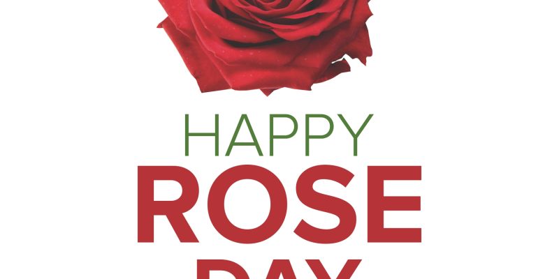 Happy Rose Day On February 7 with red rose symbol poster illustration –  Free Vector