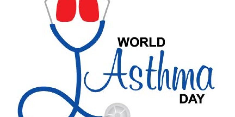World Asthma Day awareness poster with healthy lungs illustration vector – free vector