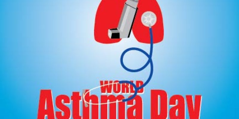 Vector Illustration of World Asthma Day With Healthy Lungs, Inhaler and Stethoscope Background Picture – Free Vector