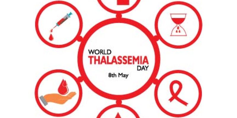 Vector Illustration of World Thalassemia Day High Resolution Infographics Images – Free Vector