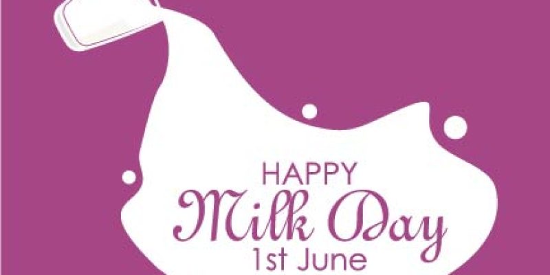 Vector illustration of World Milk Day Cute banner picture – vector
