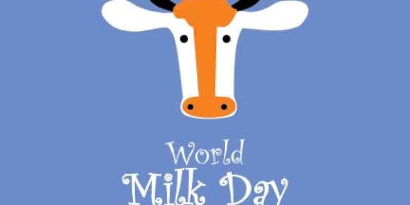 Vector illustration for happy milk day with cow icon, fresh world milk day lettering, designer Typography post – Vector