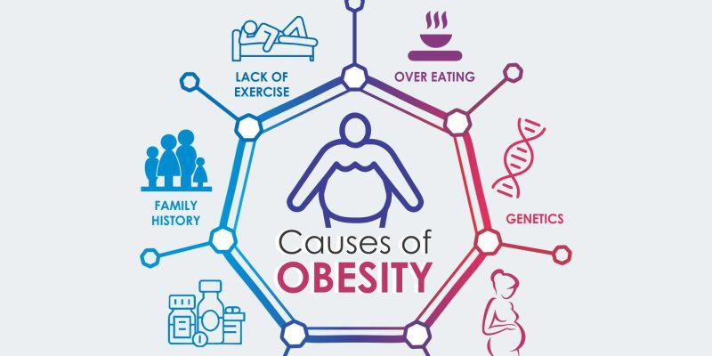 Causes of obesity poster with 7 element infographic steps illustration with icon – Vector