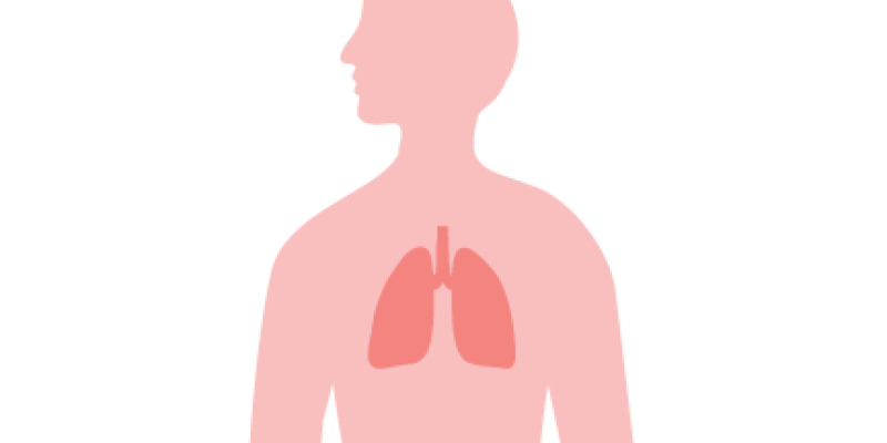 Vector Illustration of lungs with body icon, medical concept illustration – Vector