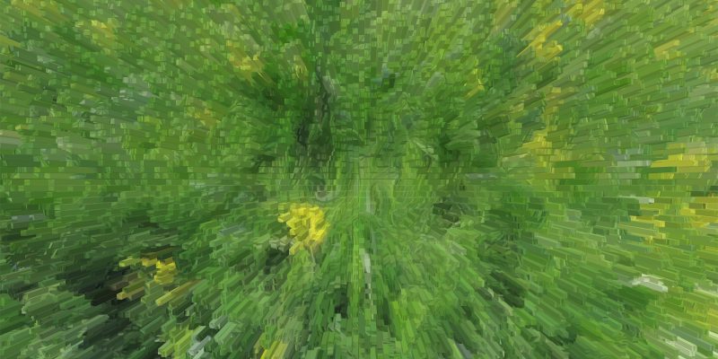 Green texture background – free photo