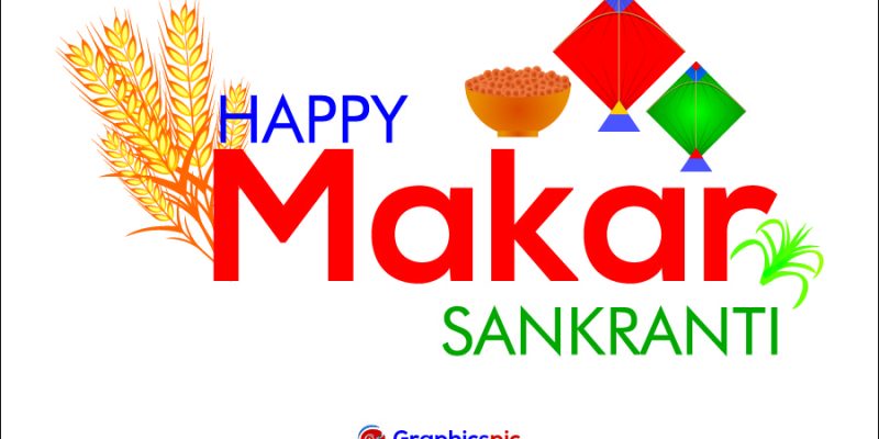 Happy makar sankranti with wheat ear and indian sweet – free vector