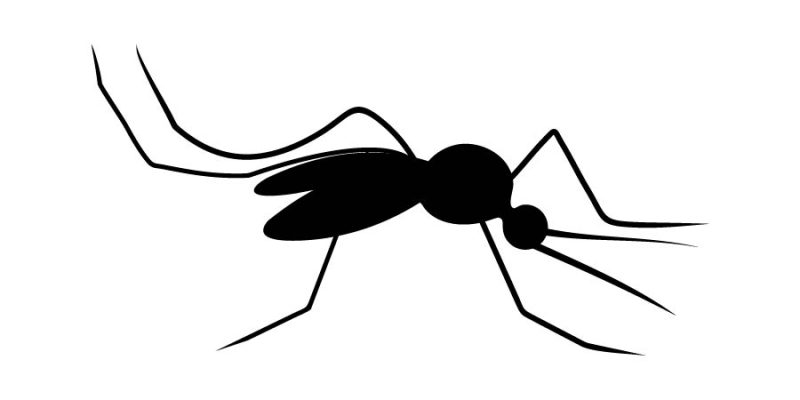 Mosquito silhouettes – free vector