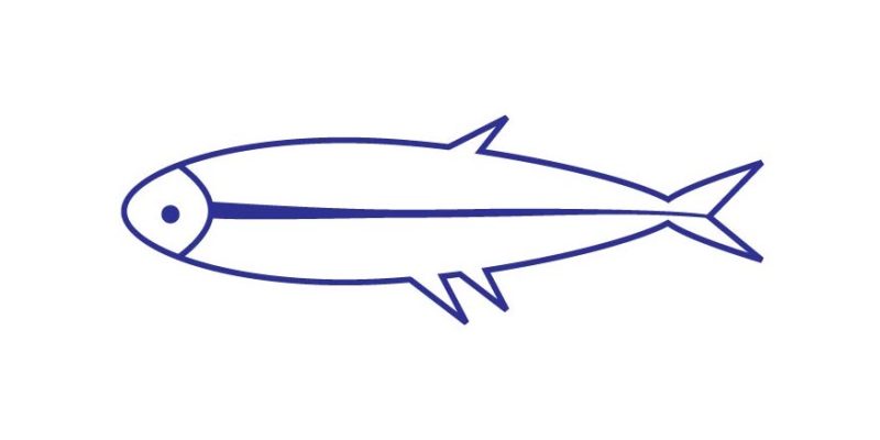 Flat fish silhouettes icon –  free vector