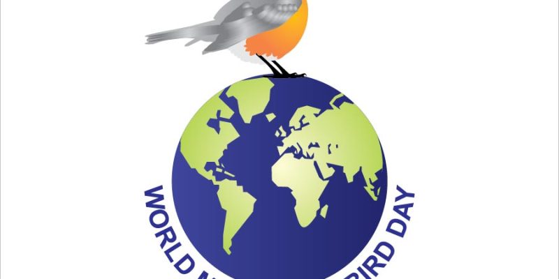 World Migratory Bird Day with earth illustration – free vector