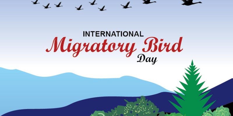 Migratory bird day with flying birds – free vector