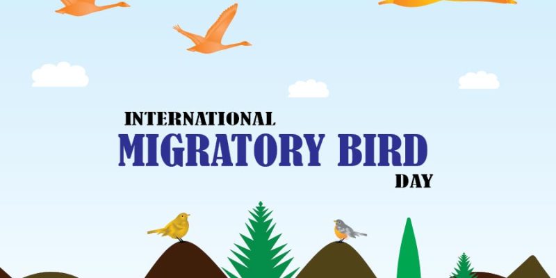 World Migratory Bird Day and flying birds – free vector
