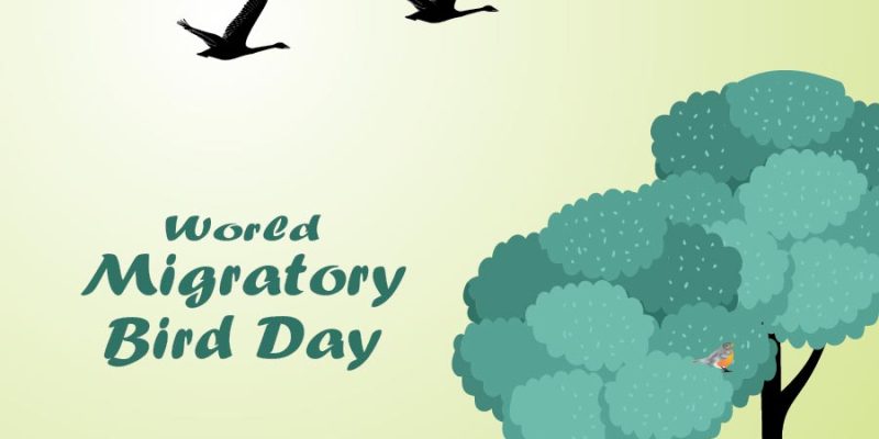 World Migratory Bird Day, Field of grass and flying birds symbol – free vector