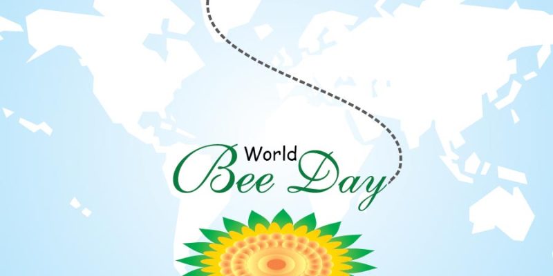World bee day with world map vector image – free vector