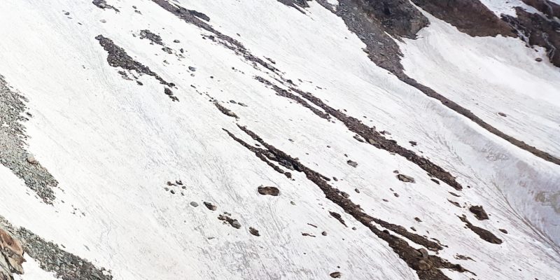 Nature pattern background – free photo