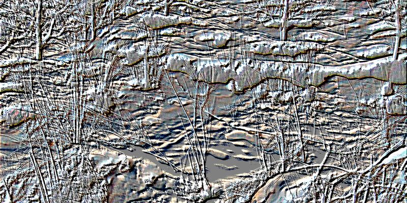 Texture background of the embossed  tree in gray color – free photo