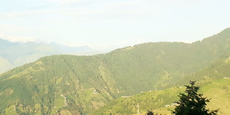 Summer landscape mountain forest sky, tree – free photo