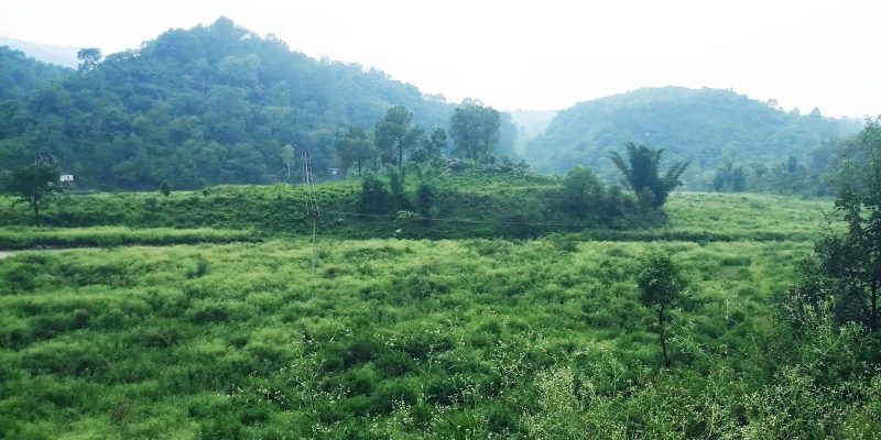 Hilly rural green area – free photo