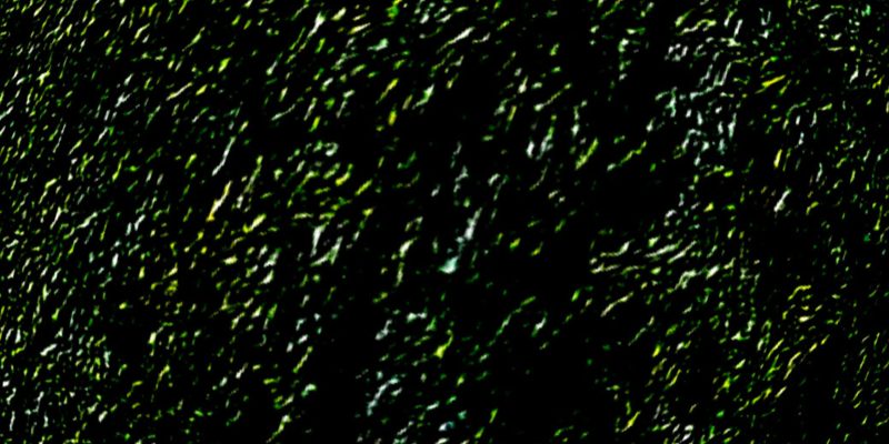 Abstract dark green & black background – free photo