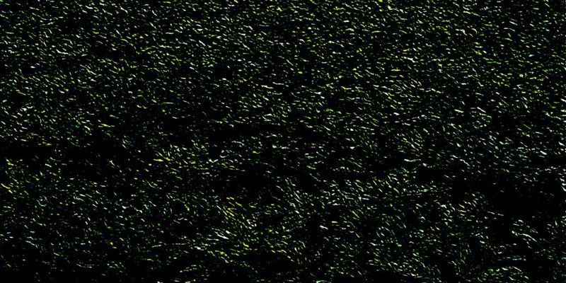 Abstract dark green & black background – free photo