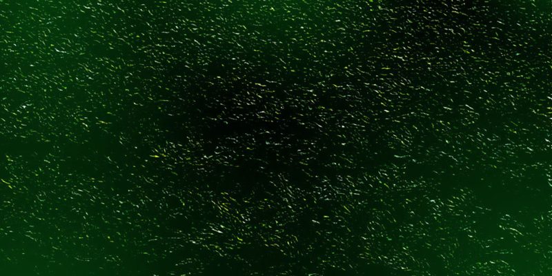Abstract dark green & black background – free photo