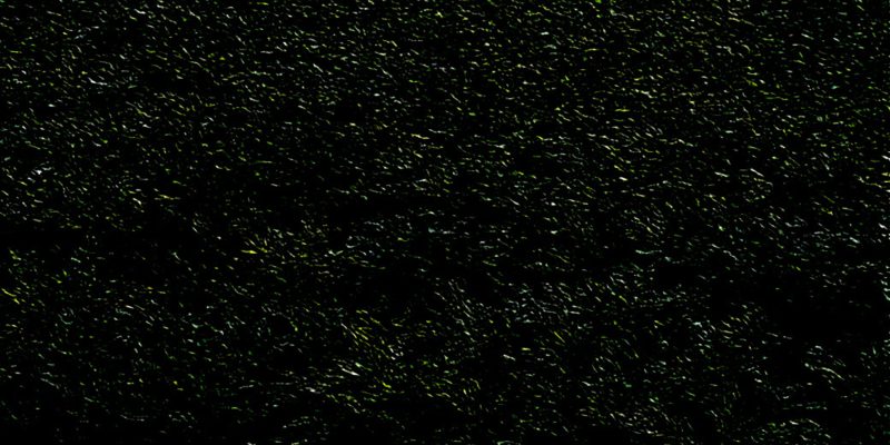 Abstract dark green & black background – free photo