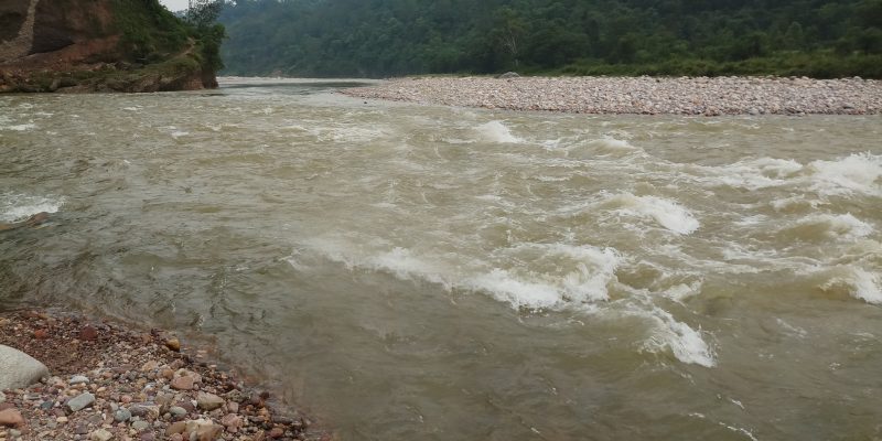 Mountain River Flower Bush Landscape – Free Photo