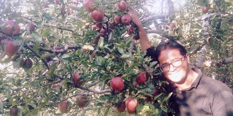 A man picked red apple tree – free photo