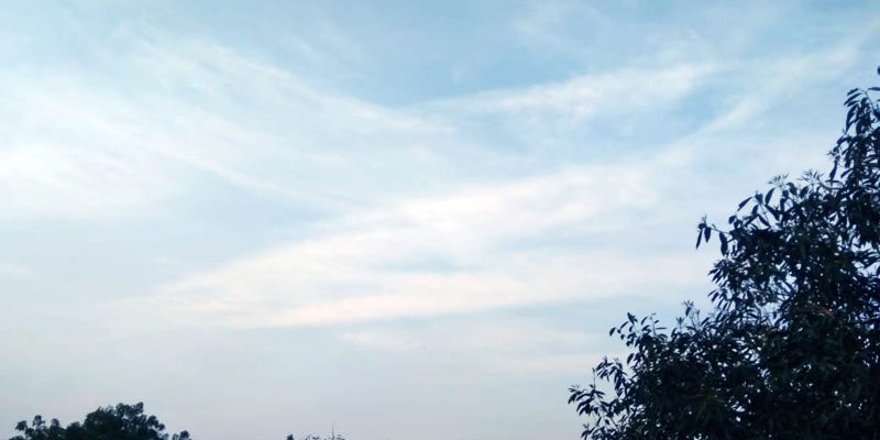 The sky over the forest landscape – free photo