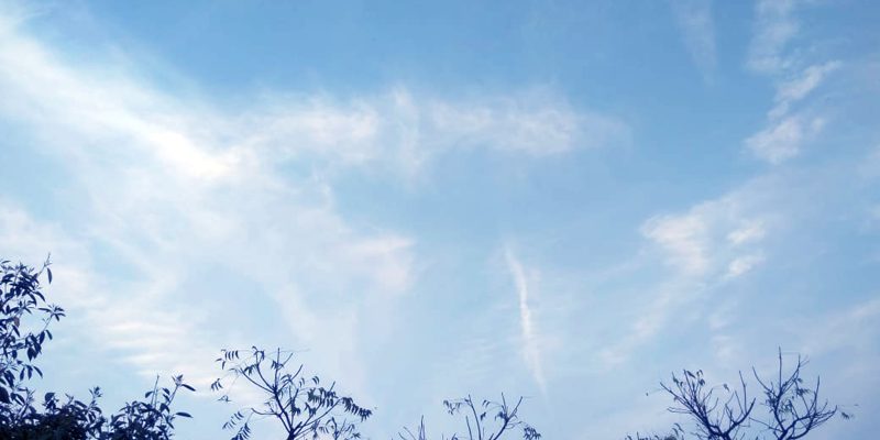 The sky over the forest landscape – free photo