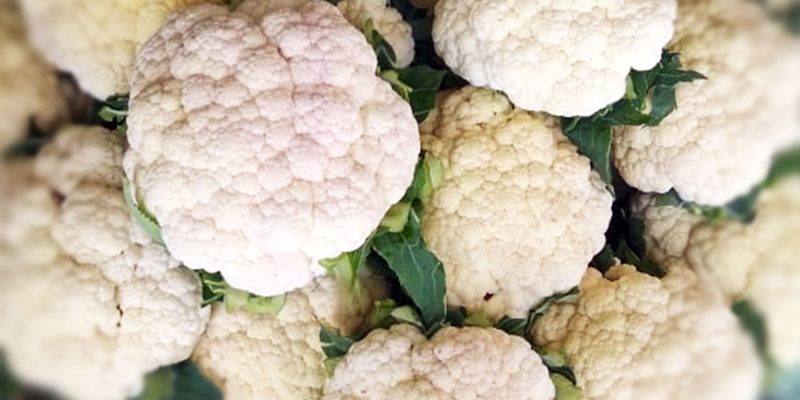 Cauliflower  stock image – free photo