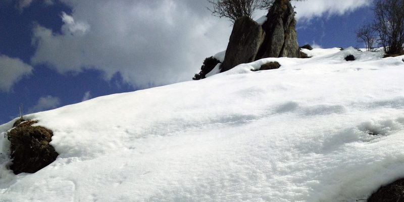 Landscape filled with snowfall – free photo