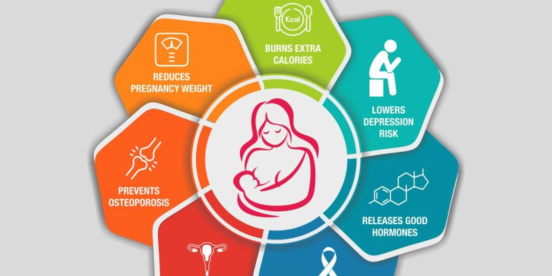 Benefits of breastfeeding for moms maternity vector image. Infograph 7 element with centre circle with icons-Free Vector